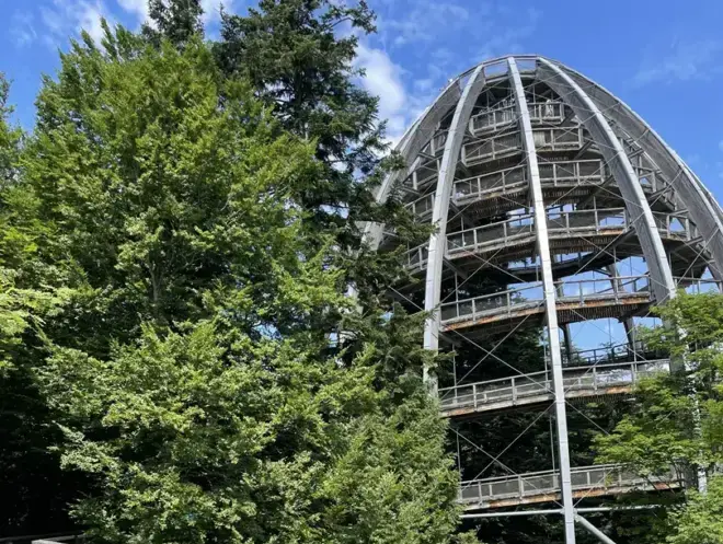 Baumwipfelpfad bei Neuschönau im Bayerischen Wald